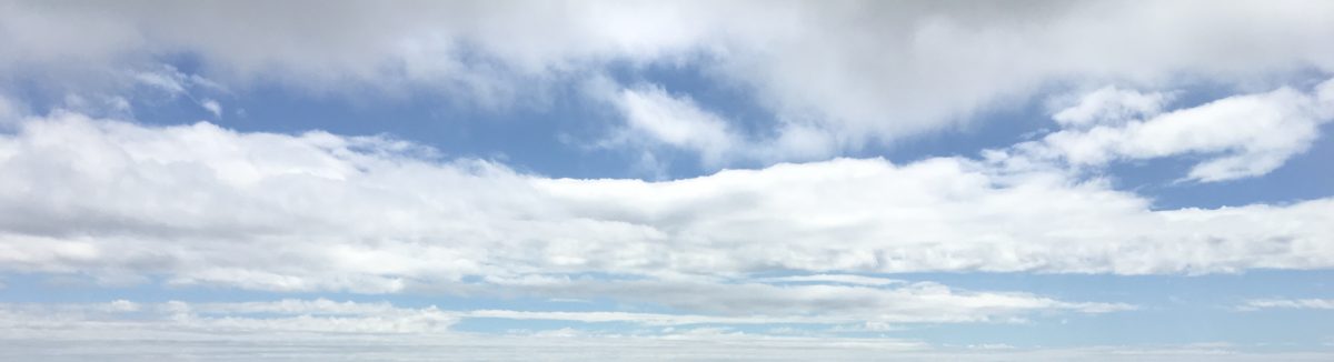 As Much Dirt As Possible